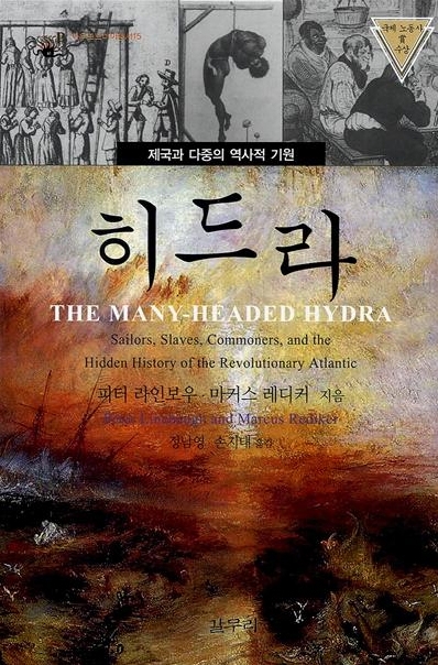 히드라.jpg